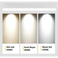 CT-5238 30W Sıva Üstü Led Armatür Siyah Kasa