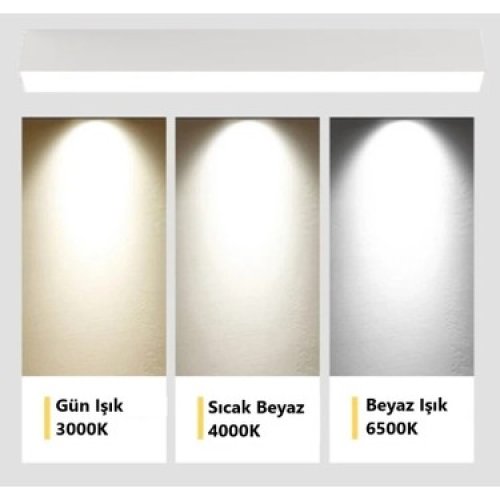CT-5238 30W Sıva Üstü Led Armatür Siyah Kasa